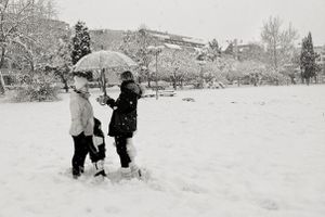 Chatting under the snowstorm