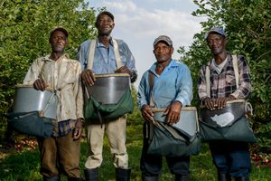Neville, Linford, Alfred, and Clarence