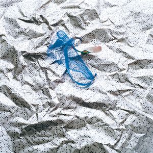garlic net-mountains