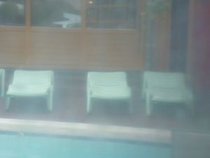 Looking through the summer rain