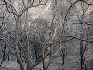 Backbone Trail (2248), 2018