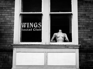 Wings