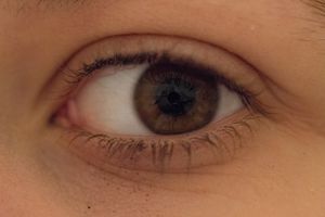 The eye