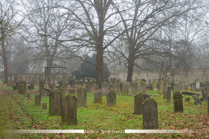 Graves
