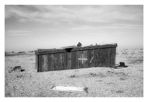 Dungeness #9