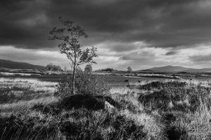 Loch Ba, Scotland |  11