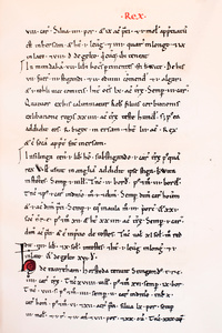 Norfolk's Little Domesday Book catalogue begins with King William's landholdings
