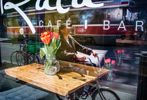 Rider and Tulips