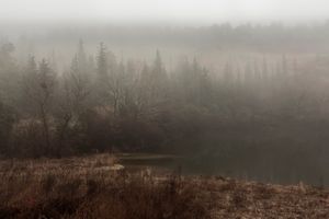 scene