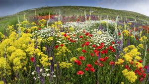 A fallow field in the Abruzzo, Italy