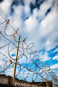 Beyond the Wire