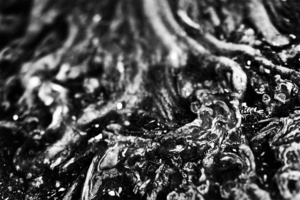 roots