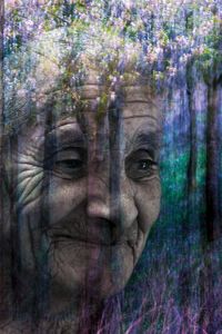 Wandering in the Forests of Your Mind.