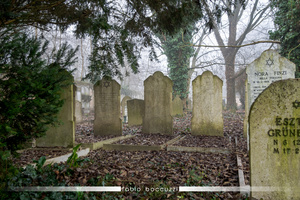 Graves