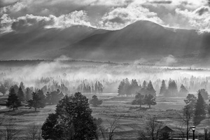 Mist On Golf Course