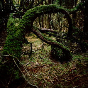 Labyrinth Path