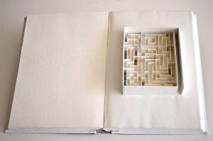IWP artist Merike van Zanten
