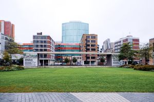 Lost in Rotterdam