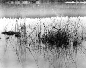 Reflect