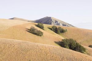 LAND