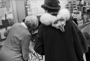 Woman with Baby and Fox Stole
