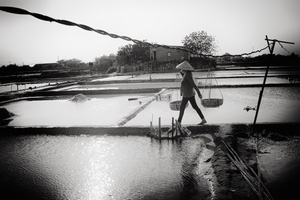 Salt field