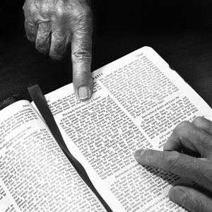 2. Genesis 19: 1-11