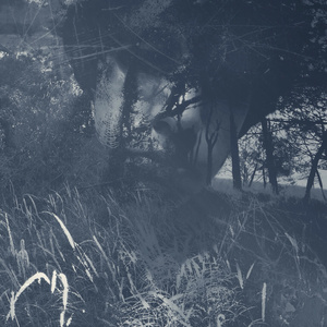 Lost Landscape