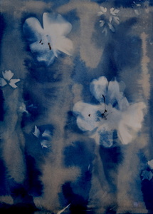 Early Spring