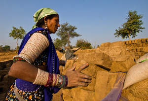 Donkey Transport to the Kiln