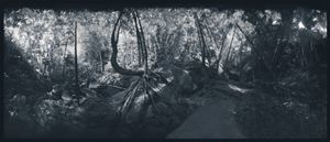 Indian Pass Trail