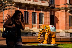 Yellow Elephant