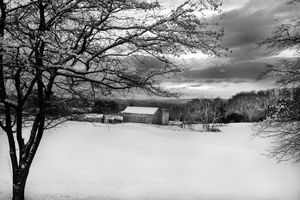 Farm