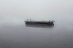 FOG IV
