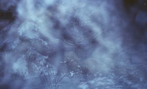Winterstanders 10