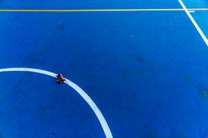 The basketball court