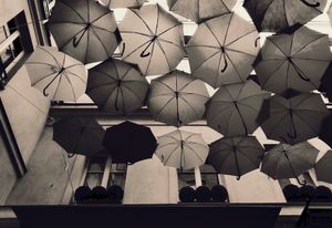 Umbrella Sky Project 15