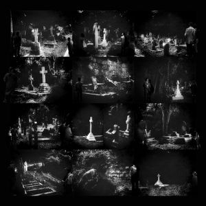 the lights 1