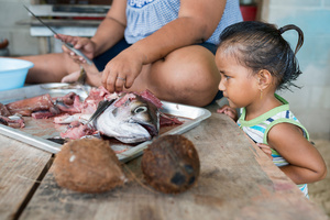 Impact of overfishing #18