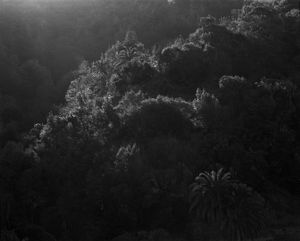 346-18, 2013 © Awoiska van der Molen, Purdy Hicks Gallery