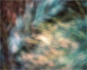 In a Landscape #7