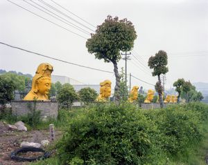Volatile Nature