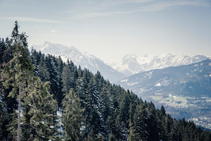 BGL 5
