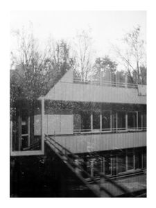 "Forest reflex on window"