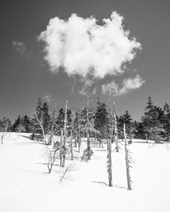 ZenMeditation - Plate 5