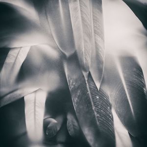 Evergreen-15.jpg