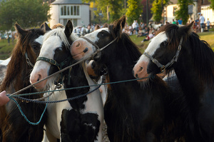 Appleby Horse Fair, feature for Amazone magazine