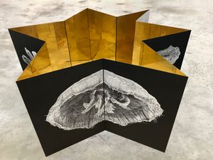 Epilog. The Aurelia Immortal cycle  as an infinite leporelo installation.