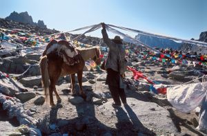At the highest point on the kora around sacred Mt. Kailash,, the 5,630-metre Drolma La, a Tibetan pilgrim leads his horse under lines of banners. © Michael Freeman