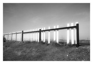 Dungeness #17